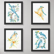 Blue Jay sur la branche de California Poppy 4-