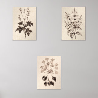 Jeux D'art Mural Botanical Wall Art for Living Room