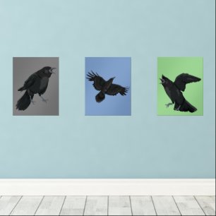 Jeux D'art Mural Crows Black Birds Ravens Print Set