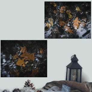 Jeux D'art Mural Feuilles et glands d'automne dans des eaux mystéri