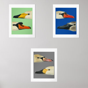Jeux D'art Mural Oiseaux sauvages Espèces de cygnes Print Set