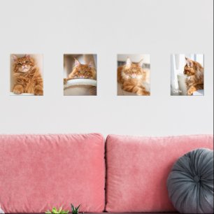 Jeux D'art Mural Photo Four Family Cat 8x10
