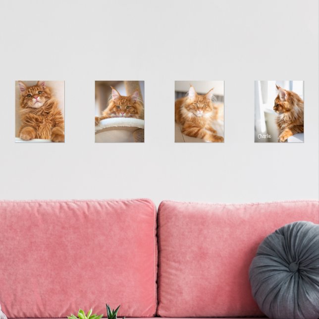 Jeux D'art Mural Photo Four Family Cat 8x10 (Salon)