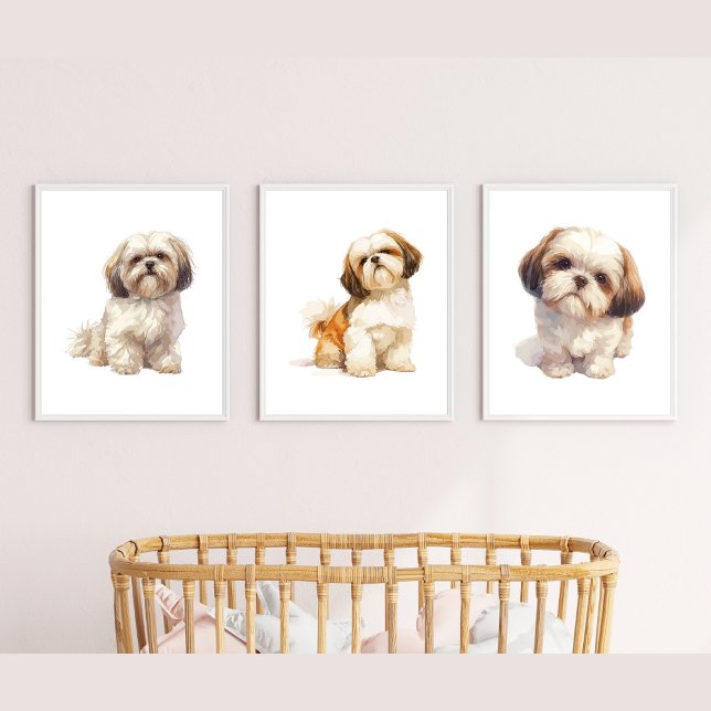 Jeux D'art Mural Shih Tzu Puppy Art, Portrait de Animaux Décor Mur (Créateur téléchargé)