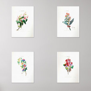 Jeux D'art Mural Vintage Floral Shabby Chic Flore D Amerique Floral