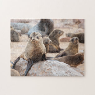 Jigsaw puzzle d'un seau de phoque allongé sur un r