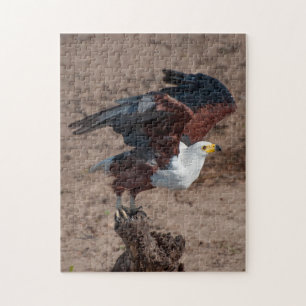 Jigsaw Puzzle Eagle Poisson Africain