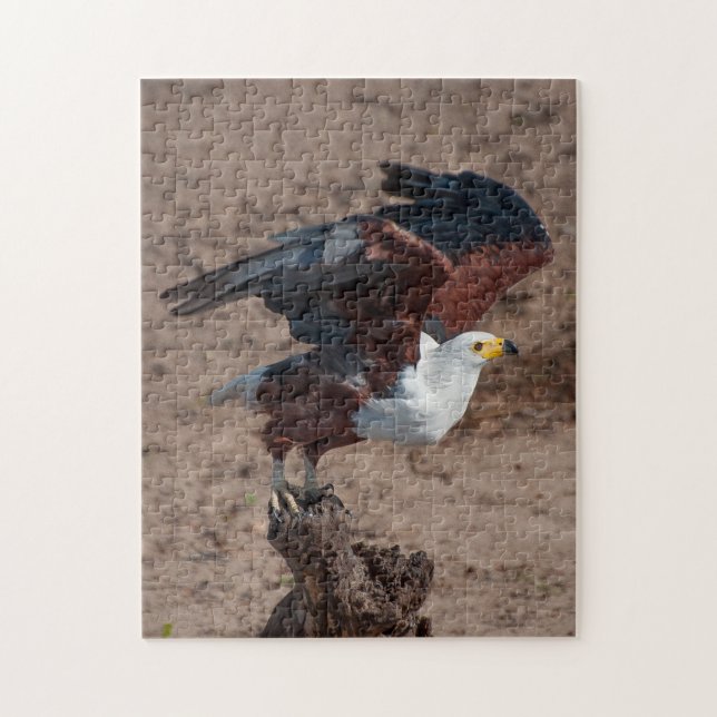 Jigsaw Puzzle Eagle Poisson Africain (Vertical)