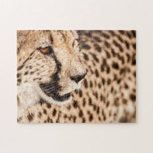 Jigsaw puzzle Portrait d'une Cheetah