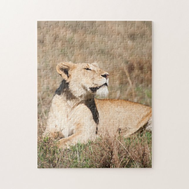 Jigsaw puzzle Portrait d'une lionne (Vertical)