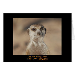 JIM Bob - carte de légendes