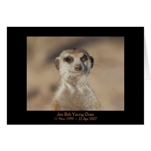 JIM Bob - carte de légendes (Devant horizontal)