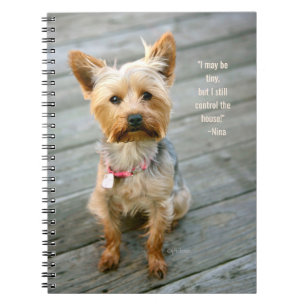 jjhelene Yorkshire Terrier "Nina" - Carnet