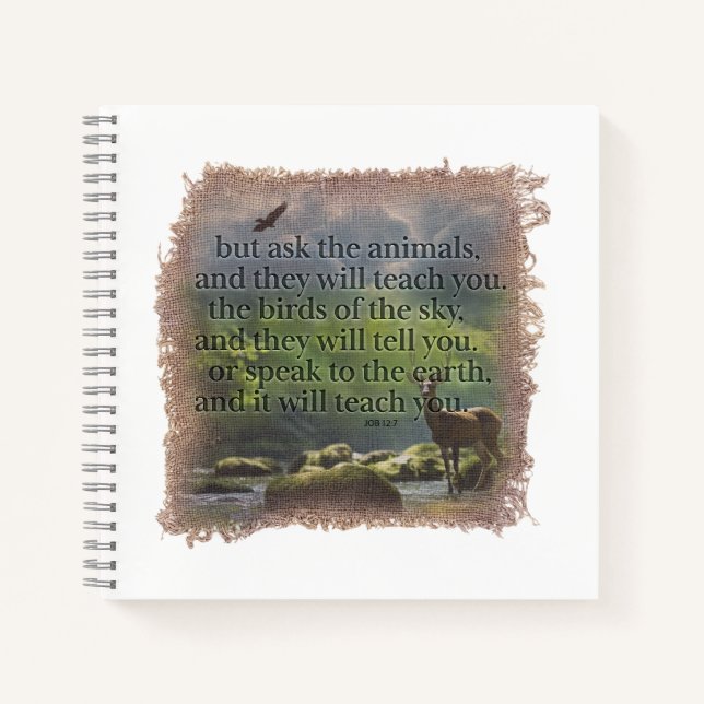 JOB 12:7 - Journal (Devant)