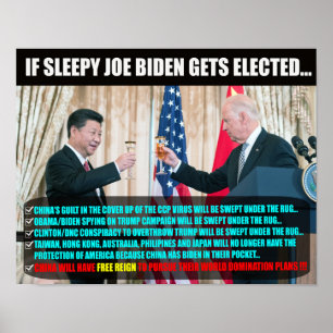 JOE BIDEN ELECTION POSTER