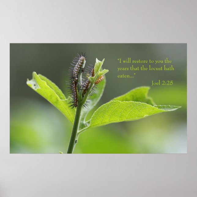 Joel 2:25 Poster des Écritures (Version C) (Devant)