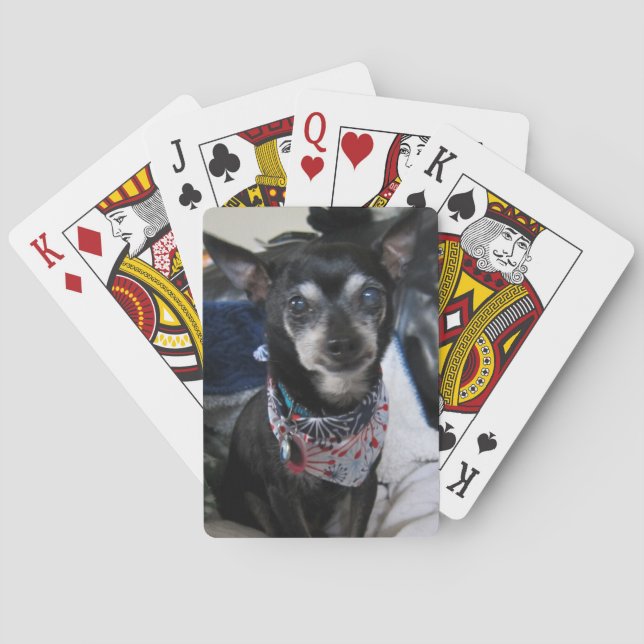 Joey les cartes de jeu de chiwawa (dos)