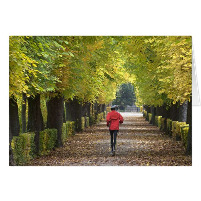 Jogger (Devant horizontal)