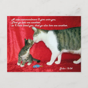 John 13:34 Bible Verse Carte postale