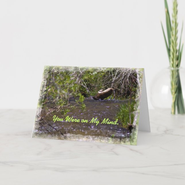 John 16:33 Carte d'encouragement (Devant)