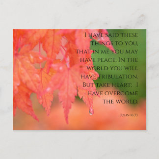 John 16:33 Carte postale Rouge japonais Maple Rain