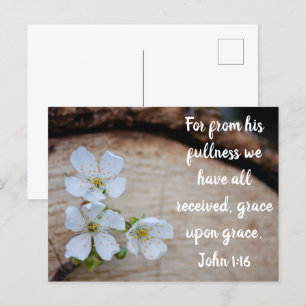 John 1:16 Fleurs de cerise sauvage Carte postale