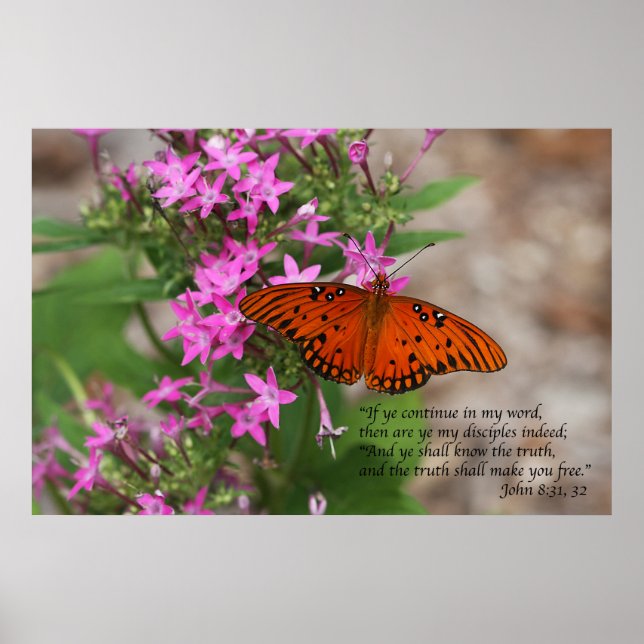 John 8:31 & 32 Ecriture Poster (Devant)