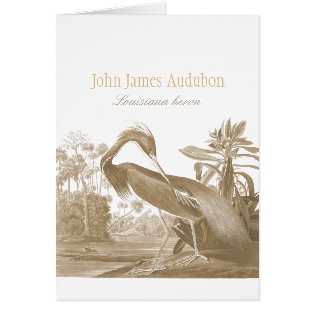 John James Audubon Heron Lousiana CC0750 Bird (Devant)