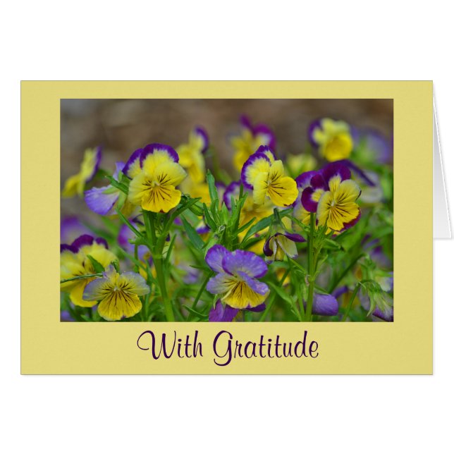 Johnny Jump Up Carte de remerciements (Devant horizontal)