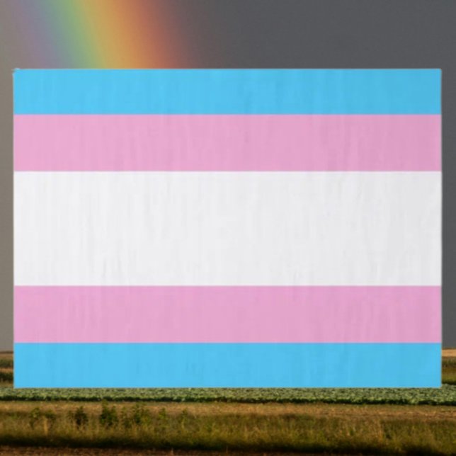 Joie de papier de soie de Fierté Trans (Créateur téléchargé)
