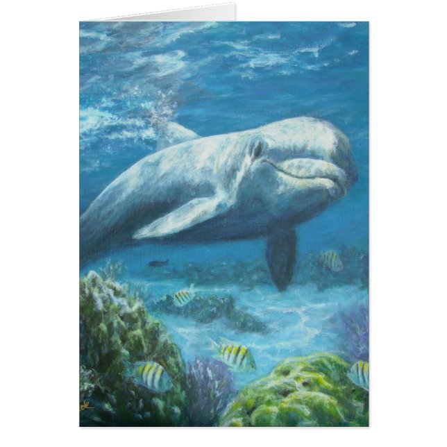 jojopaintings (Devant)