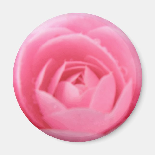 Joli Aimant Fleur De Camellia Rose (Devant)