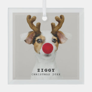 Joli animal de compagnie photo ornement de Noël