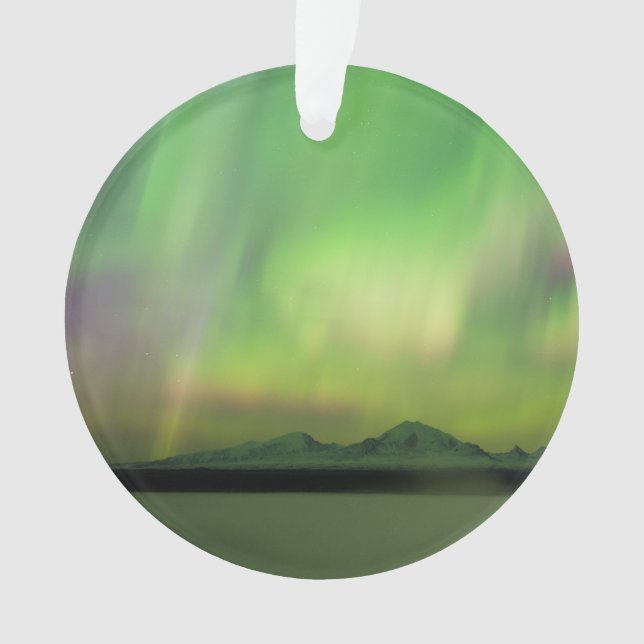 Joli Aurora (devant)