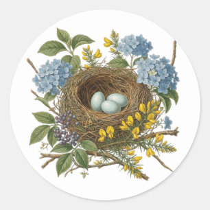 Joli Autocollant de Nid d'Oiseau Vintage