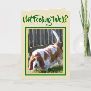 Joli "Basset Hound" Avec Daisy Sur Carte "Get Well
