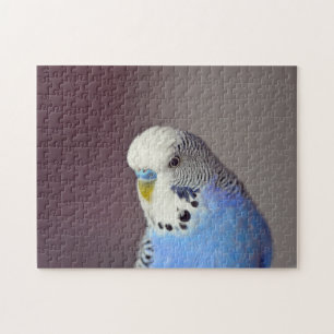 Joli Blue Budgie Photo Jigsaw Puzzle