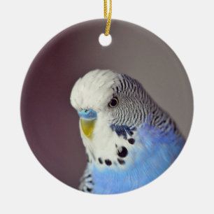 Joli Blue Budgie Photo Ornement en céramique
