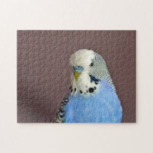 Joli Blue Parakeet Photo Jigsaw Puzzle