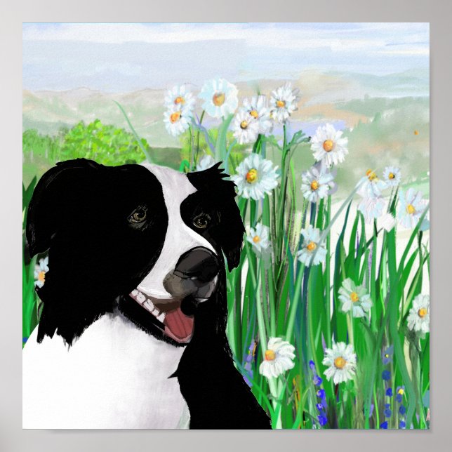 Joli, Border Collie Daisies affiche d'art mural (Devant)