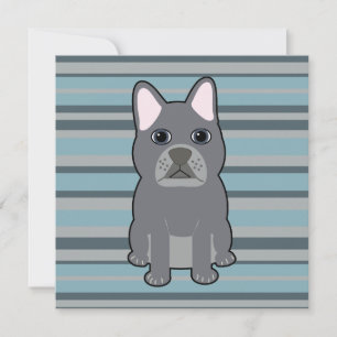 Joli Bouledogue Français rayé bleu