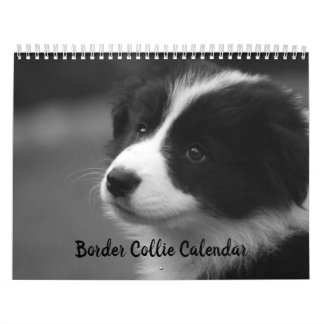 Joli calendrier Collie Dog Bordure