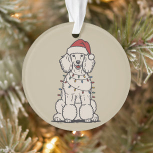 Joli caniche enveloppé dans les lumières de Noël v