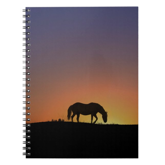 Joli Carnet à cheval dans le Sunrise Sud-Ouest (Devant)