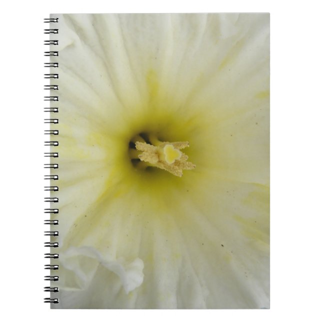 Joli Carnet de jonquille pâle (Devant)