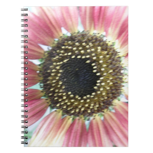 Joli Carnet de tournesol rose (Devant)