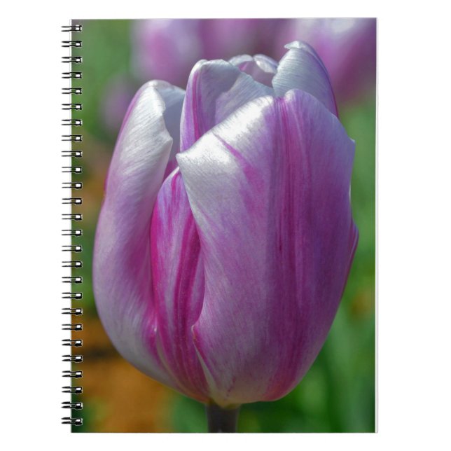 Joli Carnet du Journal des fleurs de tulipe violet (Devant)