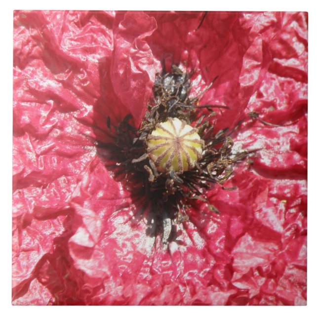 Joli carreau de la fleur rouge (Devant)
