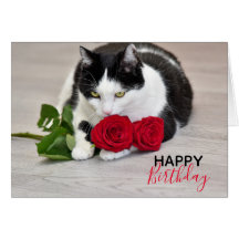 Joli chat avec la rose rouge