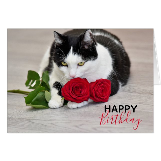 Joli chat avec la rose rouge (Devant horizontal)